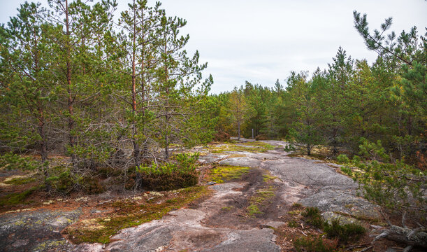 View of the rocky landscape and pine forest in Tyresta National Park and Nature Reserve in Tyresta, Stockholm County, Sweden.