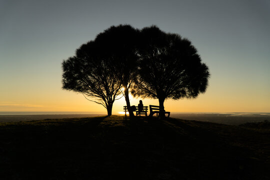View of a solitary person sitting on a bench in silhouette under three trees at sunset in the Adelaide Hills, South Australia, Australia.