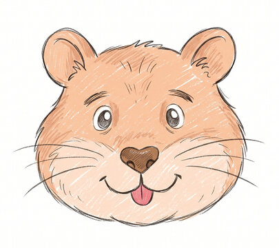hamster face