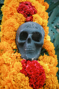 View of a traditional black skull decoration surrounded by vibrant orange and red marigold flowers during the Dia de los Muertos celebration in Oaxaca, Oaxaca, Mexico.