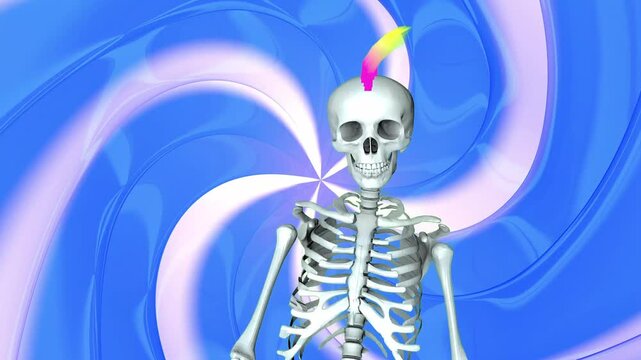 Human skeleton with a rainbow mohawk walks and sways against a blue and white swirling background, creating a quirky surreal character scene for music, fashion and Halloween themes. 3D animation