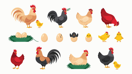 Cartoon chicken family lifecycle clip art set with roosters hens and hatching chicks © SOHAG
