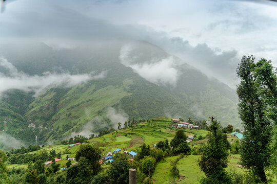 View of Ali Bedni Bugyal trek with lush green mountain slopes, terraced fields, small village houses, and misty clouds in Chamoli, Uttarakhand, India.