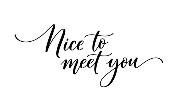 Elegant calligraphy nice to meet you lettering design, hand-lettered brush script quote, modern handwritten greeting phrase art, stylish black monoline typography for greetings