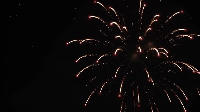 fireworks in the night sky