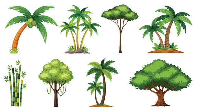 Tropical vegetation and forest trees vector set, cartoon illustration of coconut palms, banyan oak, bamboo stalks, and jungle plants isolated on white background