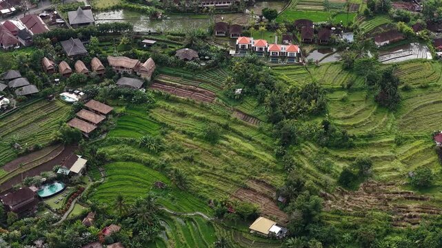 Aerial motion of terraced rice paddies on steep green hills with winding paths and scattered red-roofed houses under soft daylight, with rice, terrace, paddy, agriculture detail