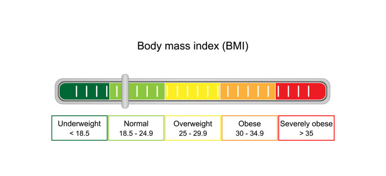 Body Mass Index (BMI) classifies weight status based on height and weight measurements. Vector Illustration.