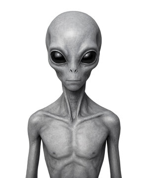 Alien figure standing with neutral expression and large black eyes on a white background. The image shows a grey slender humanoid with smooth skin and visible collarbones.
