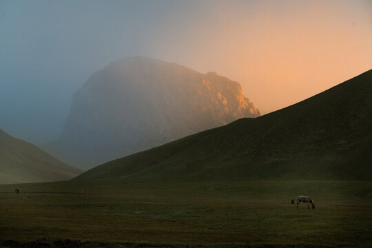 View of a horse grazing in the misty Kok Kiya Valley at sunset with dramatic mountain peaks in the background in At-Bashi District, Naryn Region, Kyrgyzstan.