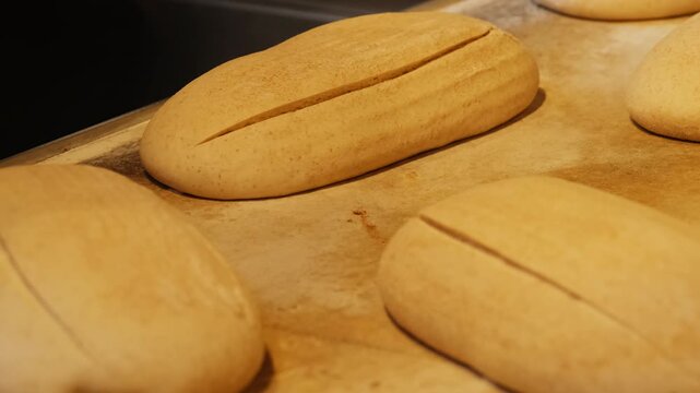 Baker hand with bread lame cuts raw loaves on tray closeup. Employee scores wheat buns with sharp blade before baking in craft bakery workshop