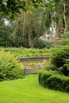 vertical shot of fish pond and surrounding trees and bushes at Brooke Park, Derry, Ireland