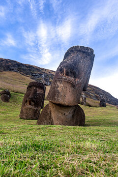 View of Moai statues standing on the grassy volcanic slopes of Rano Raraku quarry under a blue sky with wispy clouds in Easter Island, Valparaiso, Chile.