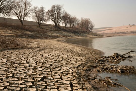 Cracked mud riverbank with a thin channel of water and leafless trees, featuring a dry, weathered texture for drought and climate change themes