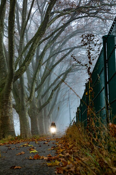 View of a cyclist riding along a path lined with tall, bare trees in a foggy autumn landscape with fallen leaves and a green fence in Mannheim, Baden-Wurttemberg, Germany.