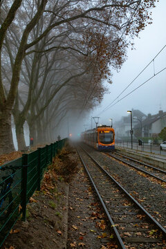 View of a modern tram traveling along tracks on a foggy autumn day with bare trees and fallen leaves lining the path in Mannheim, Baden-Wurttemberg, Germany.