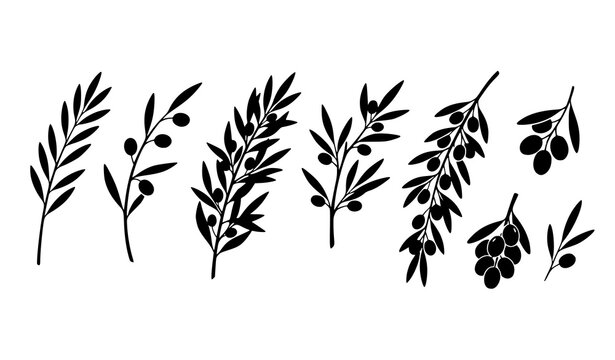 Olive twig and leafy sprig black silhouette vector icon set