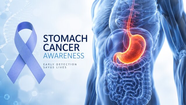 Medical illustration of stomach cancer awareness with a purple ribbon and a glowing highlighted stomach inside a translucent human torso