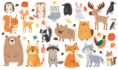 Fototapeta premium Forest animals collection, cute woodland wildlife characters isolated on white background, hand drawn flat vector illustration, autumn atmosphere, autumn leaves, mushrooms, and pumpkins. Vector