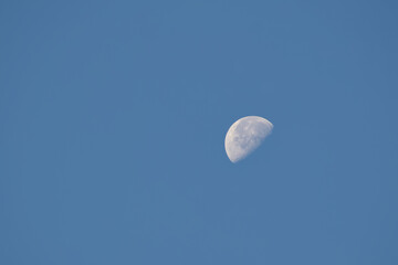 Morning moon visible in a clear blue sky, showing a partially illuminated lunar surface with craters © in_colors