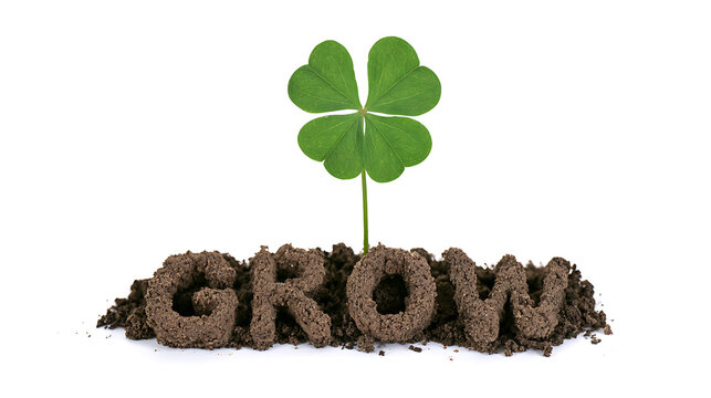 Fresh green wood sorrel plant known as Oxalis acetosella sprouting out of soil piled in shape of word grow isolated on white background