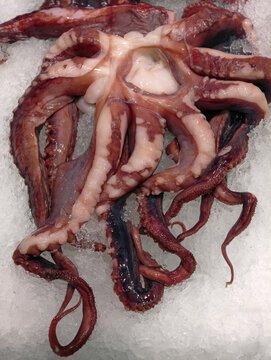 Squid tentacles after thawing displayed on fresh ice at a supermarket seafood counter, presenting prepared seafood for convenient customer viewing and selection