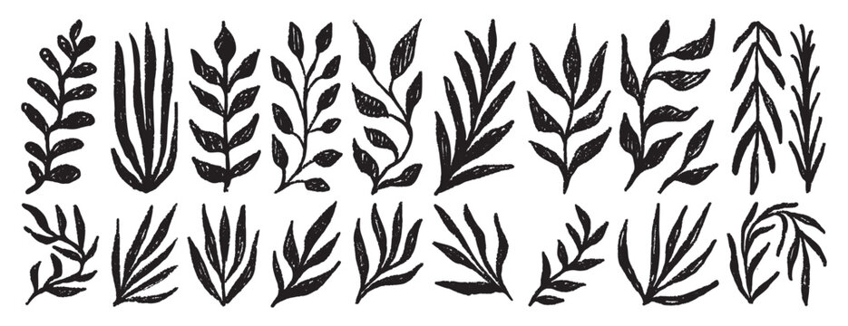 Plant silhouette leaves textured set. Leaves crayon hand drawn foliage simple collection. Trendy nature freehand rough grunge organic shapes.