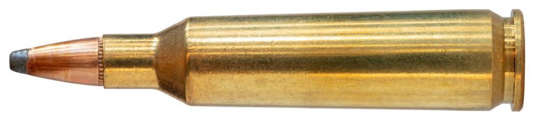 22 250 cartridge with a soft point bullet © Guy Sagi