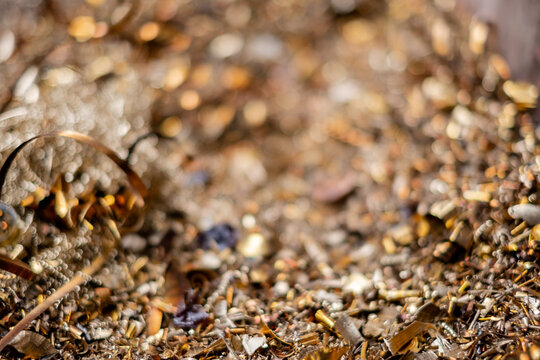Close up of metallic brass shavings and swarf texture