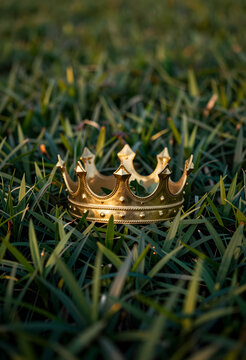 Leadership and success concept golden crown resting in green grass achievement authority power and victory in a competitive environment