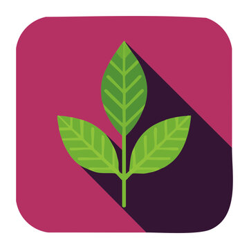 Modern flat design green plant sprout icon with smooth drop shadow on burgundy purple square for eco gardening mobile applications