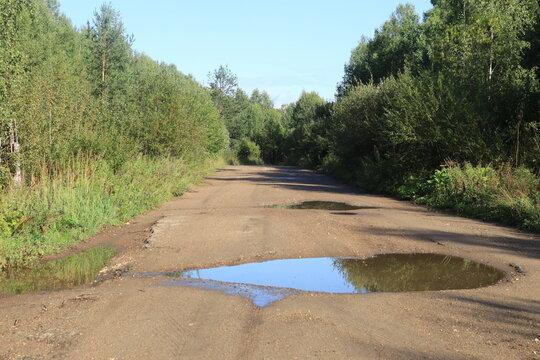 A dirt road in the forest on a sunny day after rain