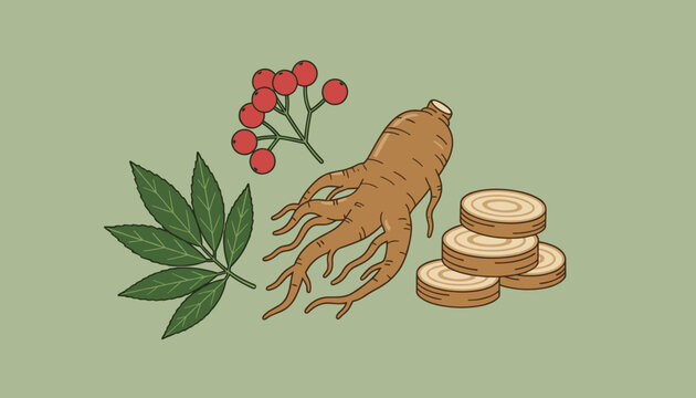 Natural medicinal plants including a ginseng root, sliced root discs, green leaves, and a sprig of red berries are shown on green.