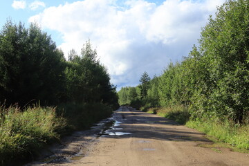 A dirt road in the forest on a sunny day after rain © алексей семиколенных