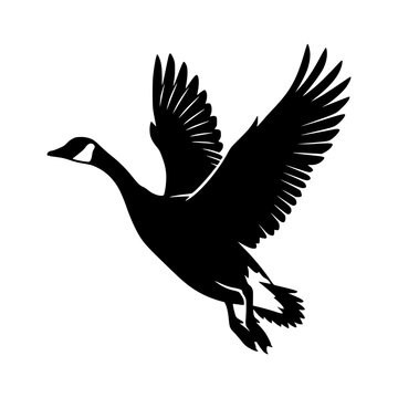 Flying goose silhouette animal vector illustration, Goose flying silhouette illustration