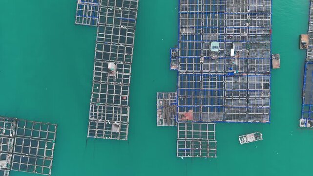 Aerial view of large floating fish farming cages located in the coastal waters of Pingtan County in Fujian Province China