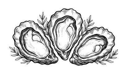 Vintage Oyster Engraving Vector, Monochrome Seafood Restaurant Emblem Illustration © MD Raju designer 