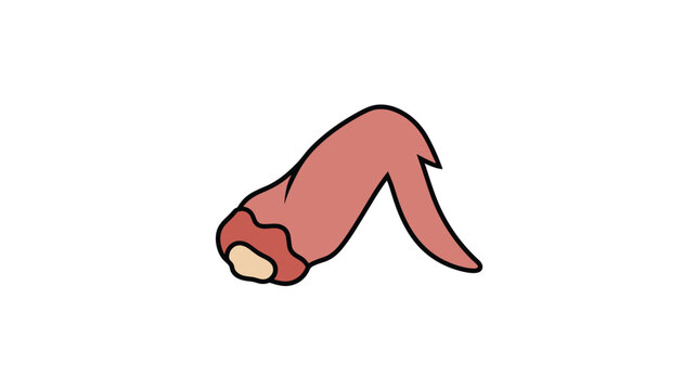 Simple cartoon illustration of a raw chicken wing piece for cooking, poultry processing, and food industry advertising graphics.