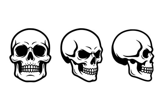 Untitled design Skull Illustration Collection, Front and Side View Human Skull Line Art Set