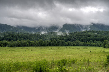 Misty sepia-toned landscape of an open field leading to tree-lined foothills and low fog drifting across distant mountains, evoking calm, solitude and an atmospheric early morning mood. © dfriend150