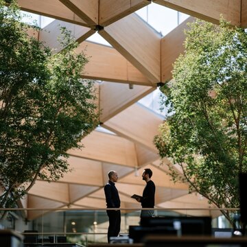 Contemporary workplace atrium with timber lattice roof and green indoor planting for business discussion background and corporate interior design