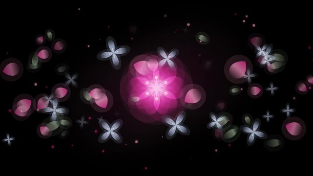 Pink Glowing Flower Animation with Floating Petal Particles on Dark Motion Graphics Background Plate