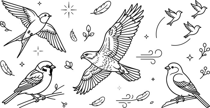 Vintage Bird and Flying Hawk Line Art Elements Collection for Mystical Graphic Designs
