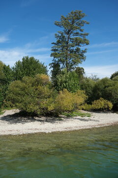 Blick vom Wasser auf das gr&uuml;ne Ufer des Greifensees in Uster im Naturschutzgebiet