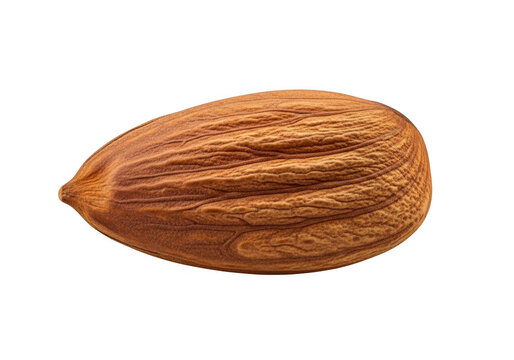 One single raw almond nut isolated on a simple plain surface for healthy food photography isolated on transparent background