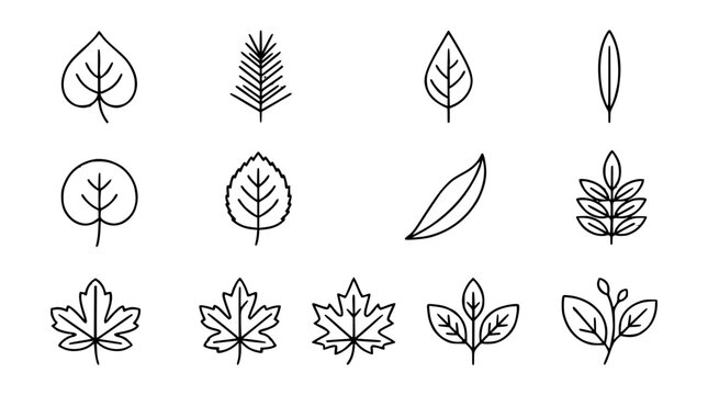 Elegant Thin Stroke Leaf Symbols Minimal Botanical Vector Icons