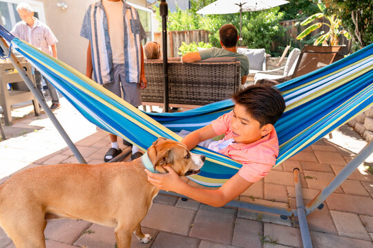 family gathering child petting dog in backyard hammock