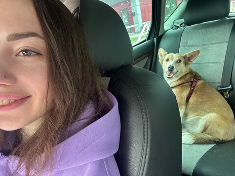 A smiling girl and her dog take a selfie in a car.