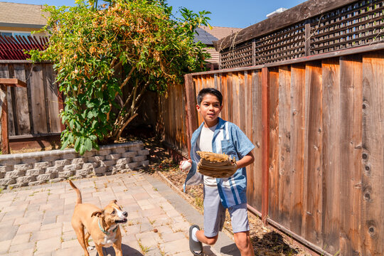 boy throwing baseball in backyard with dog