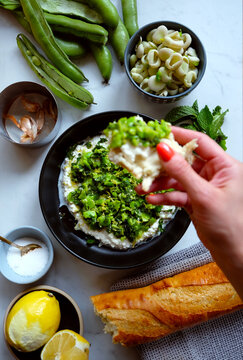 Lemony Ricotta Fava Bean Spread